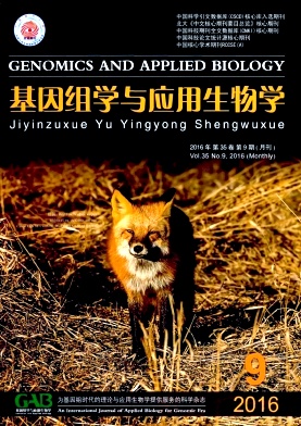 MW(xu)c(yng)W(xu)s־