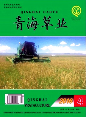 ຣݘIs־