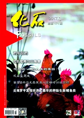 ʯs־
